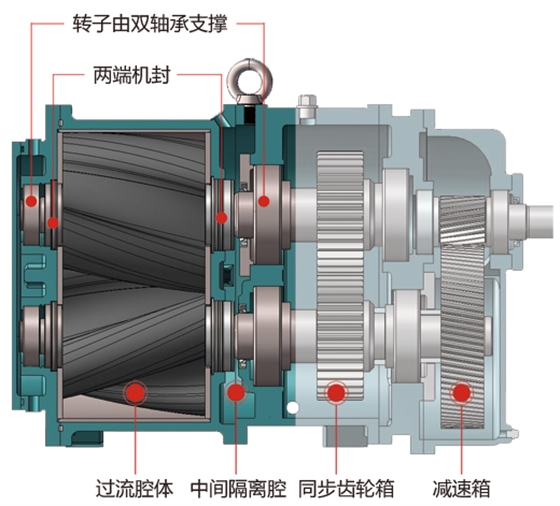 转子泵双支撑轴设计